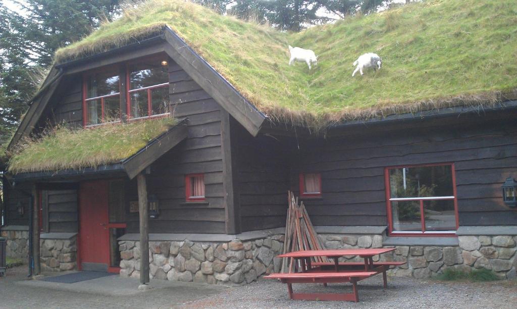 Holmavatn Ungdoms Og Misjonssenter Hotel Varhaug Exterior foto